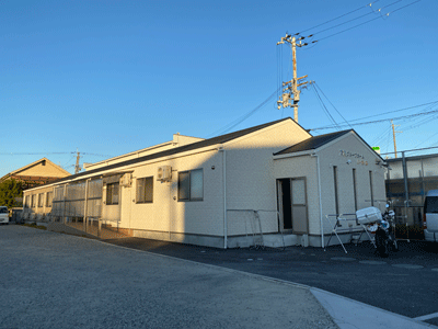 �����Ȍ���