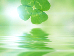 �X���C���[�W